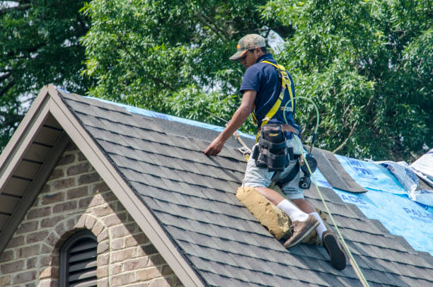 Sealant for Roof in Ina, IL